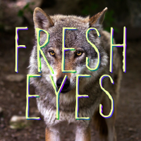 Fresh Eyes - Full Cover cover